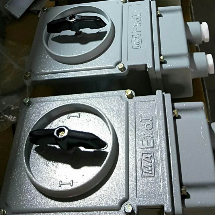 防爆转换开关 BHZ51系列防爆开关|ms