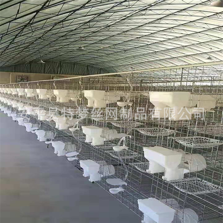 三层鸽笼 12位鸽笼 养殖鸽笼 鸽子笼 加粗白鸽笼 肉鸽笼 鸽笼用品