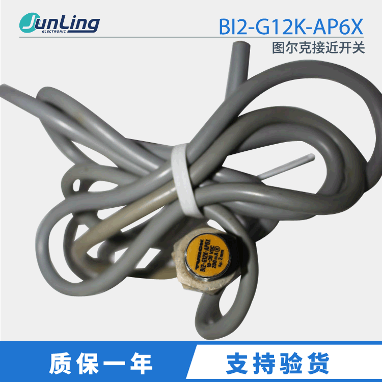 Turck/图尔克接近开关 BI2-G12K-AP6X