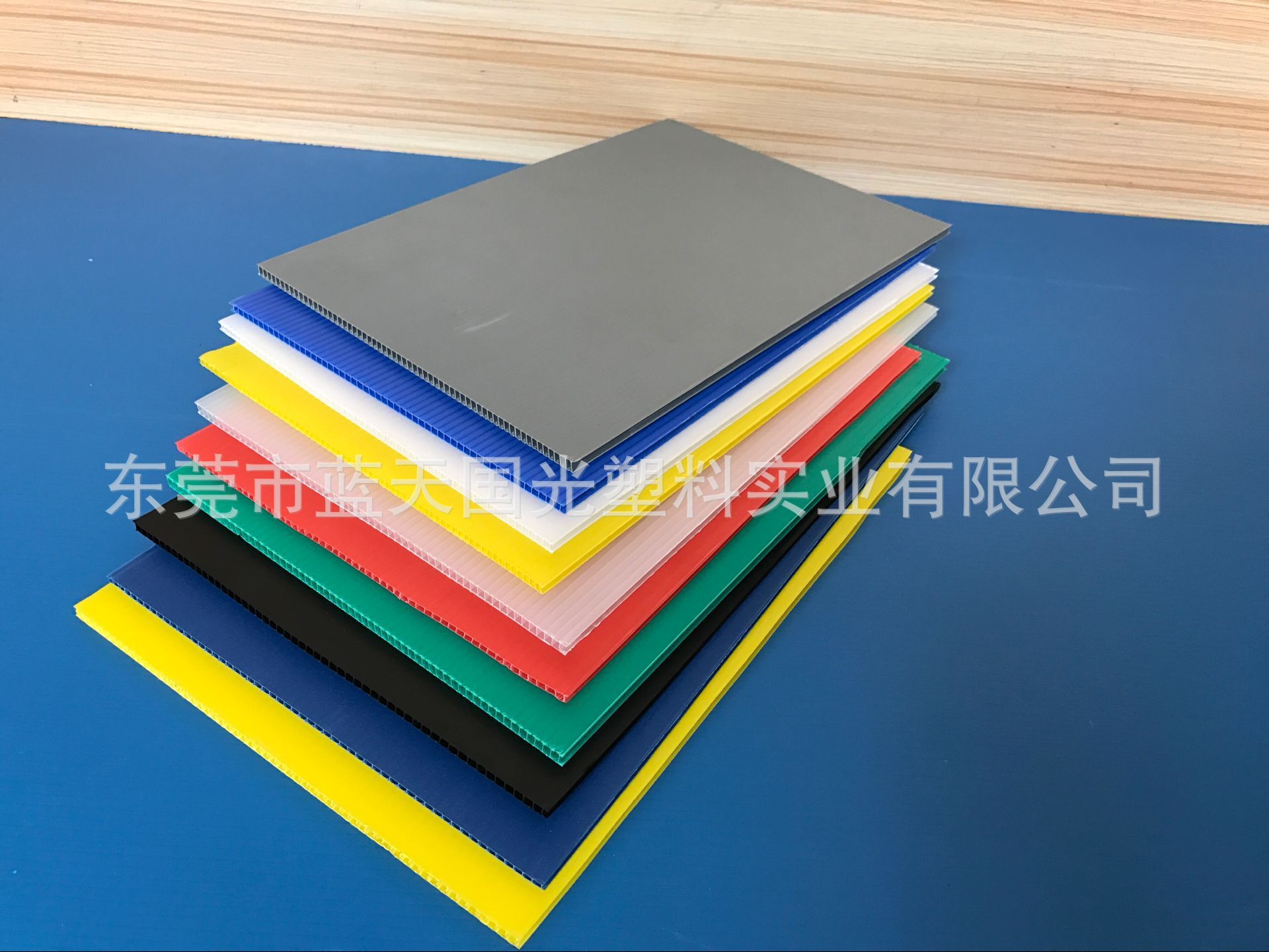 生产PP塑料胶板 蜂巢板中空板塑料空心板万通板 5mm蓝色隔板