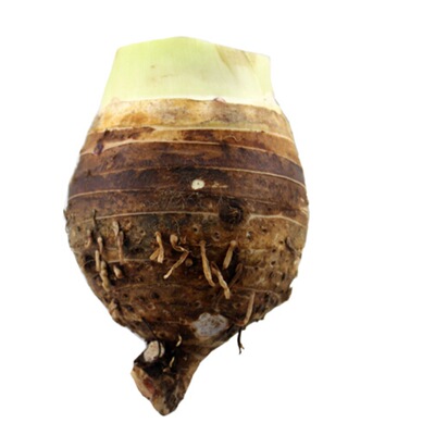 Li Riverside taro fresh Areca Taro Guangxi Guilin Farm specialty fresh  Vegetables wholesale On behalf of