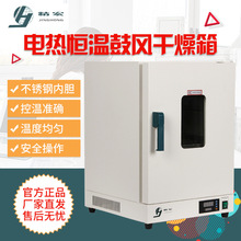 上海精宏DHG-9146A 9246A電熱恆溫鼓風干燥箱烘干燥烘焙滅菌