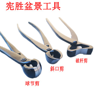 �����辰���� ���Q �ƗU�Q �_֦�� б�ڼ�����С̖ȫ�辰��