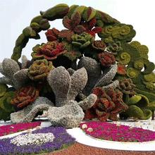 ֲ܄Gɫֲ̈@־^GSֱNl