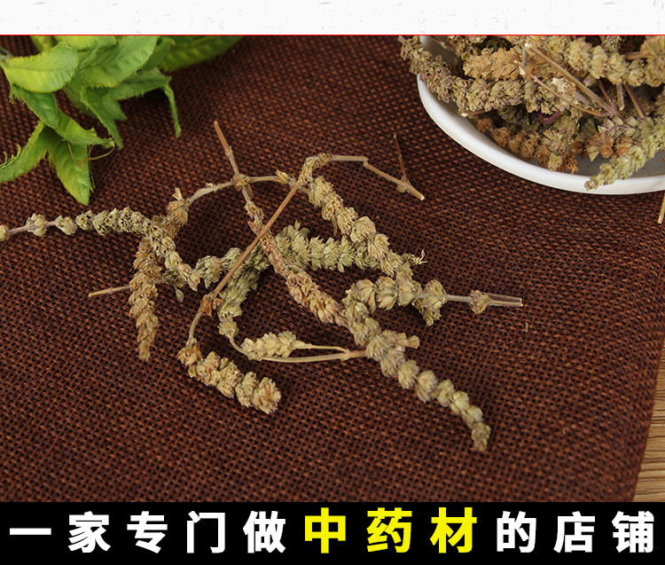 Jing Jie Sui (Schizonepeta tenuifolia) — Dried Schizonepeta Spike Herb, 500g key features