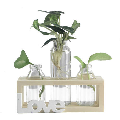 Creative pothos glass vase Nordic style hydroponic plant flower arrangement container wooden frame decoration home desktop decoration