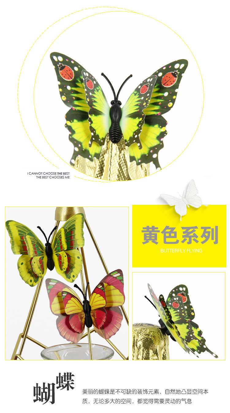 蝴蝶1_13.jpg