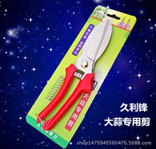�S�����l�����h���⌣�ü��� ��������^�� �������⵶ ���⌣��