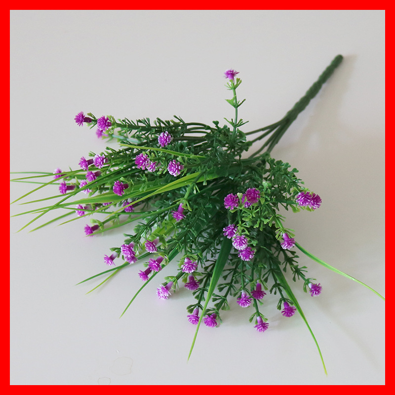 Pequeña Rosa Lotus color