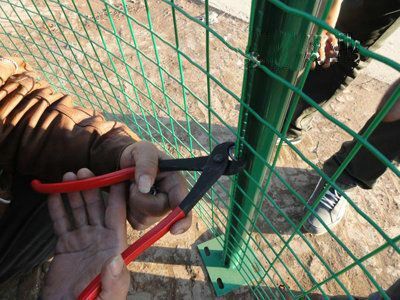 安平荷兰网护栏/荷兰网价格|ru