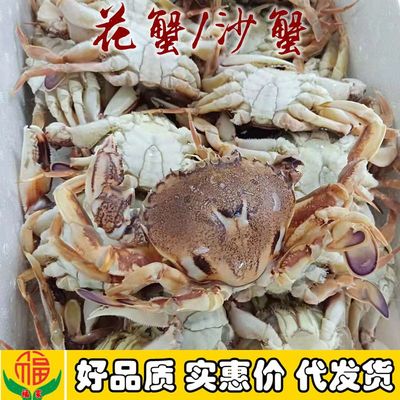 冷冻花蟹/沙蟹/招财蟹 4.5公斤/箱 厂家直销批发