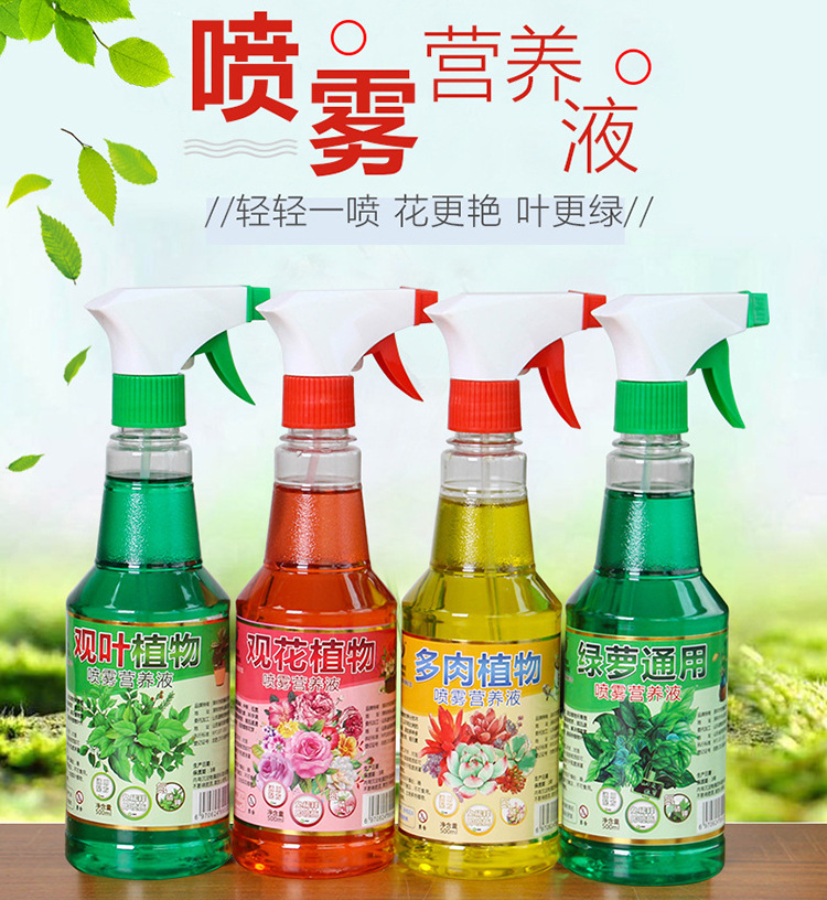 若澜园艺通用绿萝肥料直喷喷雾 喷液液体花肥花店500ml 阿里巴巴