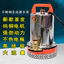 12V24V48V60V不锈钢直流泵潜水泵电瓶车船用抽水泵太阳能潜水泵