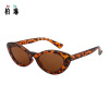 Trend fashionable brand sunglasses, 2019, European style, cat's eye, Aliexpress