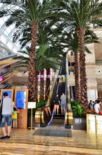 ؙLG҃ͥԺe͏db͘^p