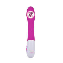P女用器具 小意境单震棒 仿真硅胶按摩av自慰棒 情趣用品批发