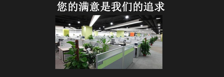 d113詳情_12.jpg