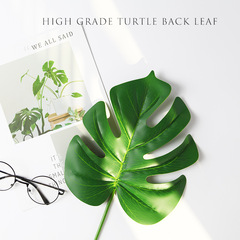 仿真植物樹葉子 拍照道具ins美妝美食 攝影道具拍攝道具背景擺拍