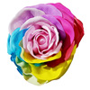 Colorful Rose Soap Flower Simulation Flower Art Blossom Flower Head Simulation of soap Flower Big Flower Head