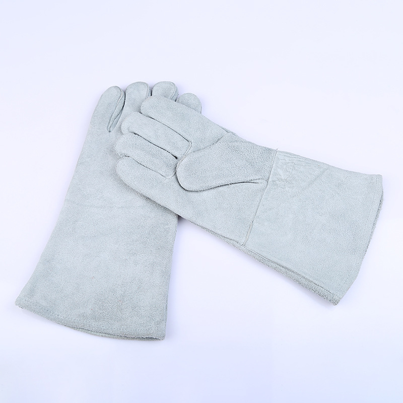 3859188041_661303599