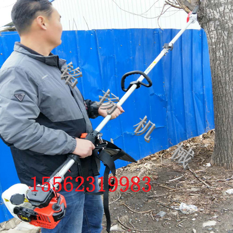 3米汽油高枝锯 高枝链锯 高空作业汽油式高枝锯价格