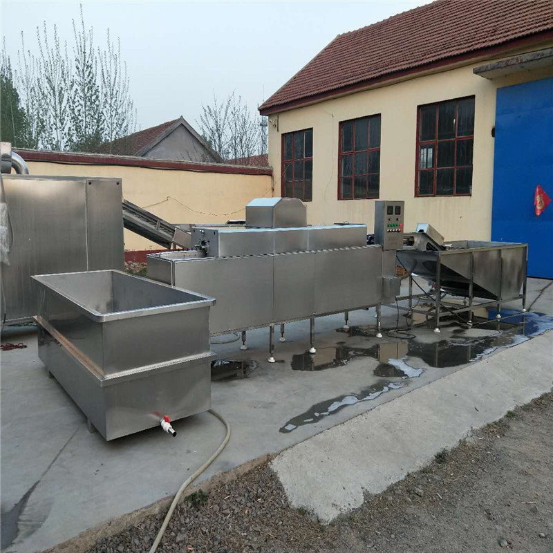 昊泰大型洗蛋机  鸡蛋、鸭蛋全自动皮蛋清洗机