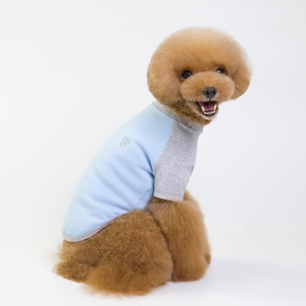 i2 XifKkz9SEOZkhuDrmzU7ITV6PujTJtiW5