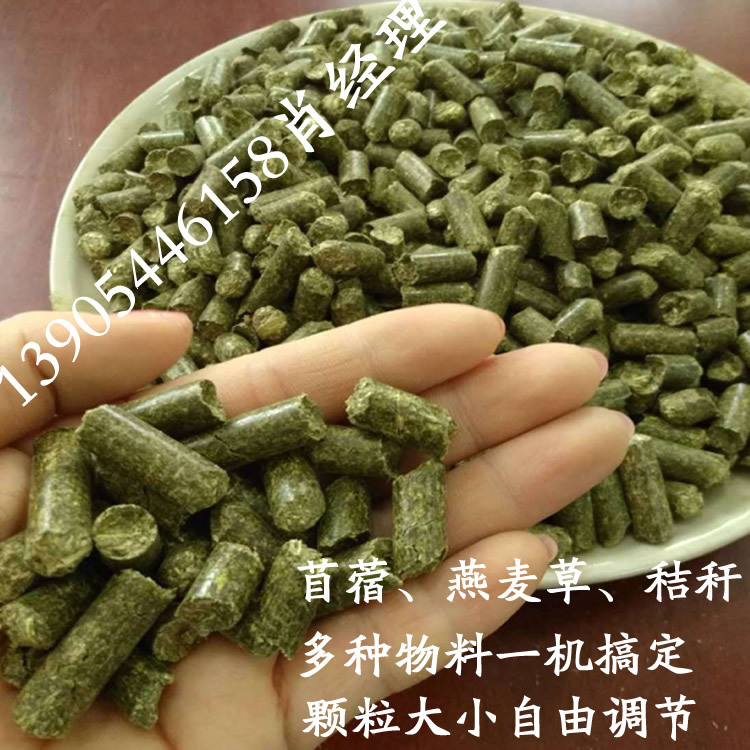 专业柠条苜蓿草饲料颗粒的全套生产加工设备 全自动农业林业机械