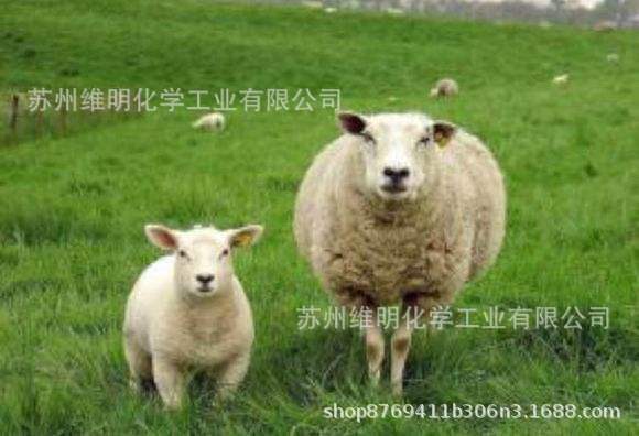 纺织助剂 印染助剂 羊毛除油乳化精练剂Scotol C-110