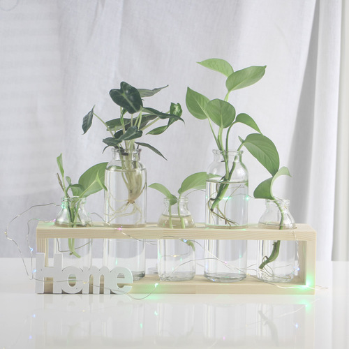 Creative pothos glass vase Nordic style hydroponic plant flower arrangement container wooden frame decoration home desktop decoration