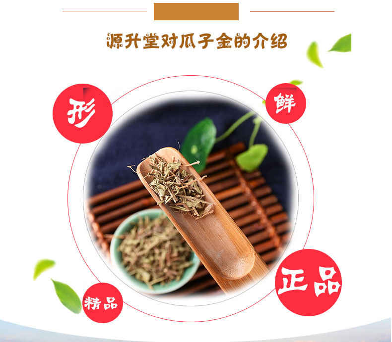Gua Zi Jin (Polygala japonica) — Dried Whole Herb, Sulfur-Free, 500g Bulk key features