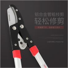 �S�� sunsong���ɶ��Ƽ���֦����sʡ������֦��@�ּ�����ʿ