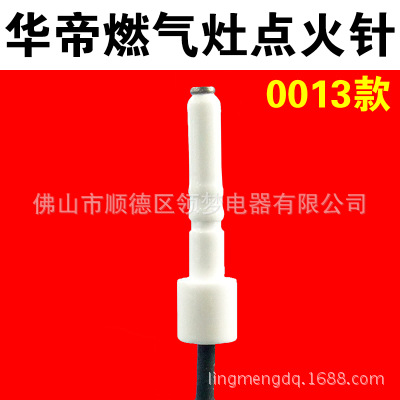 0013款点火针