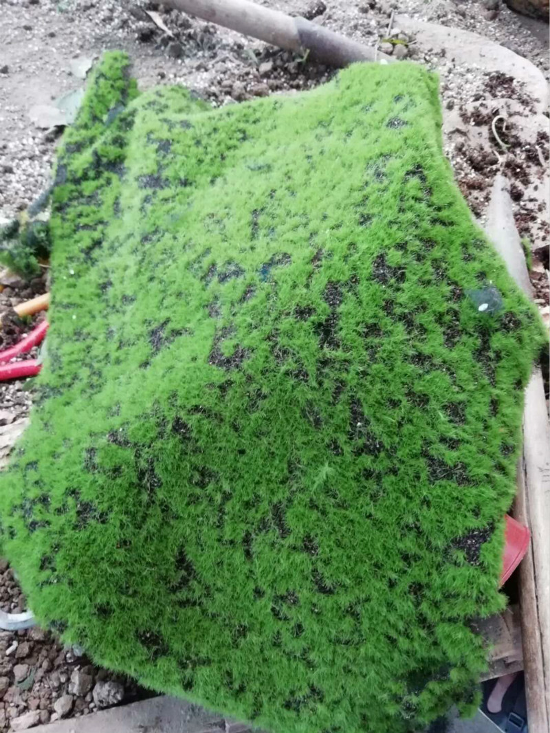 QQ图片20180819170435_meitu_4