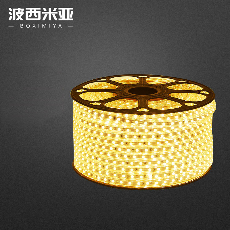 led Light belt 5050 SMD flexible light strip 220V Highlight waterproof Flexible Light belt RGB Colorful household high pressure Light belt