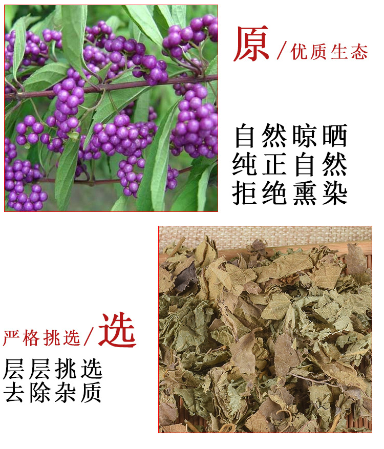 Zi Zhu Ye (Callicarpa macrophylla) — Dried Food-Herb Leaves from Yunnan, 500g key features