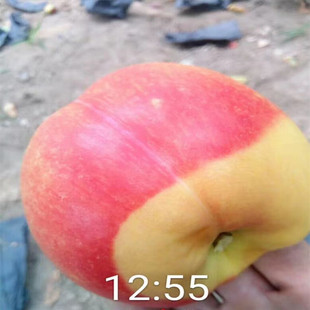 ¶���������������� ��������Ʒ�N ������r��� �S������Ʒ�N