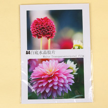 A4��͸��ˮ���zƬ ���ĥˮ����ӡ�zƬ ������ĥ��Ƭ�����l