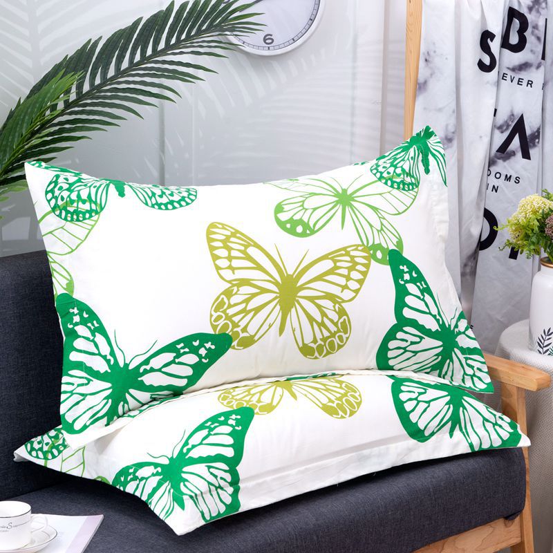 蝴蝶飞飞B_副本