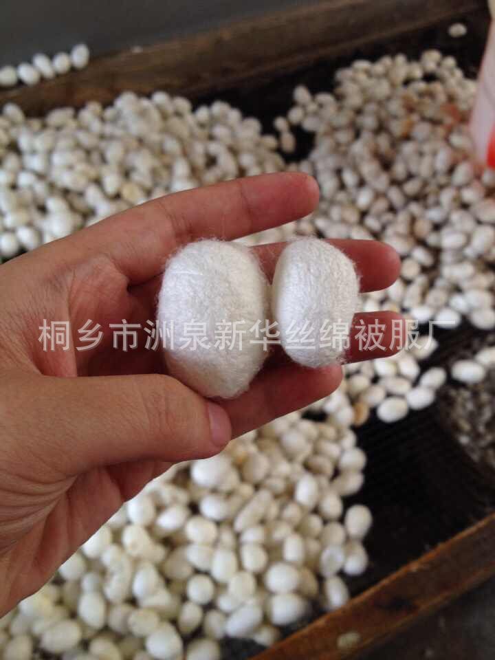 QQ图片20181013124246