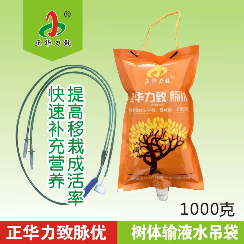 Landscape nutrient solution infusion Big tree Transplanting Nutrient solution gardens Conserve Transplanting Municipal administration green