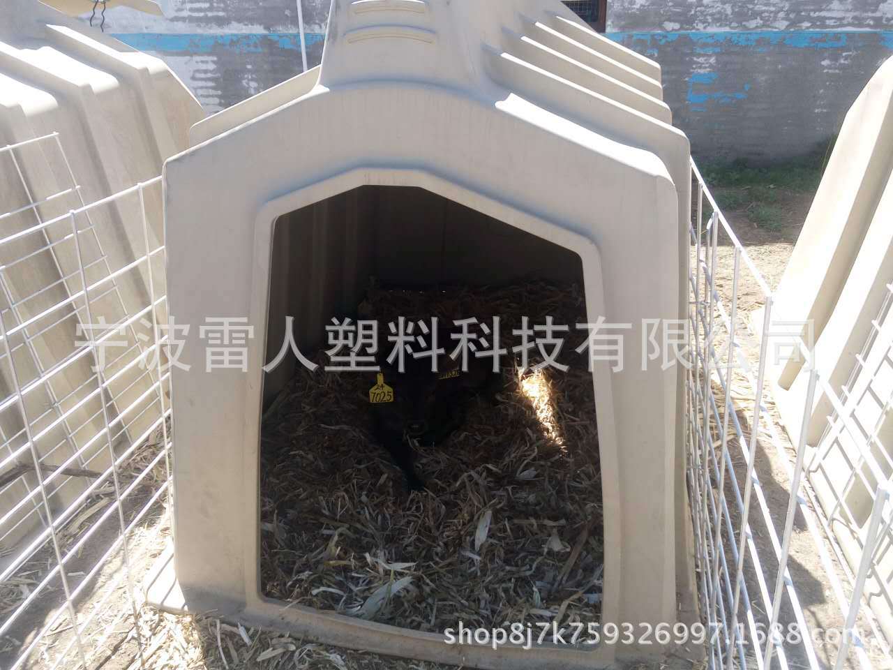 犊牛岛 牛屋 挤奶机牛场专用厂家直供