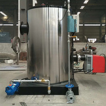 廠家供應 1噸燃氣蒸汽發生器多用型無煙蒸汽發生器蒸汽熱水鍋爐