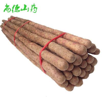 河北新鲜铁棍山药小白嘴白山药五斤装   口感软糯甘甜|ms