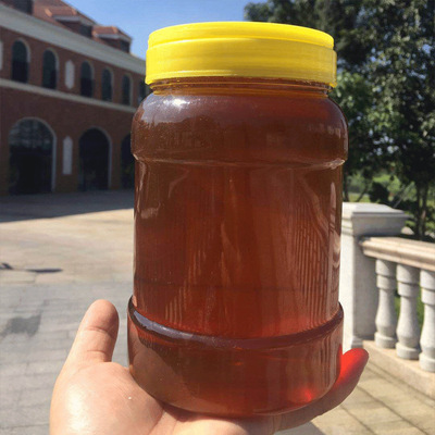 广西正宗龙眼蜜天然农家原生态蜂蜜土蜂蜜农家爷爷自家养龙眼蜂蜜|ru