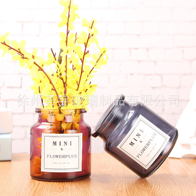 北欧风北欧小花瓶 加厚透明玻璃台面花瓶 水培鲜花插mini贴纸摆件