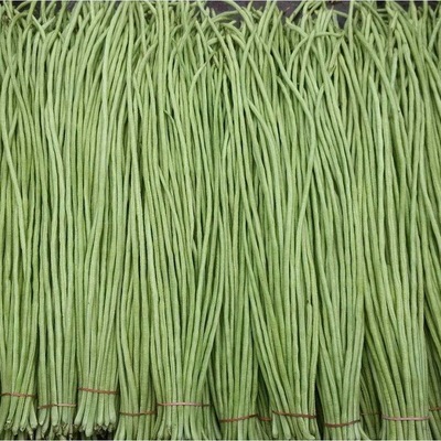 wholesale Carob seed seed Cowpea Beans seed Shouguang Vegetables seed company 150 Gram packs