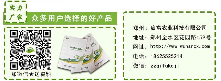 啟富豬兒健廠家