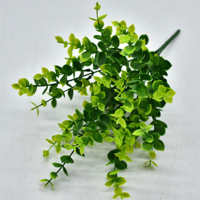 仿真尤加利草 7叉35草金钱叶仿真植物墙配草塑料假花盆栽绿植小草