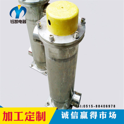 major customized loop liquid vertical explosion-proof Electric heaters small-scale The Conduit Heater Pipeline Heater